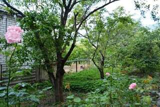 Гостиница Гостевой Дом Татьяна Геленджик-7