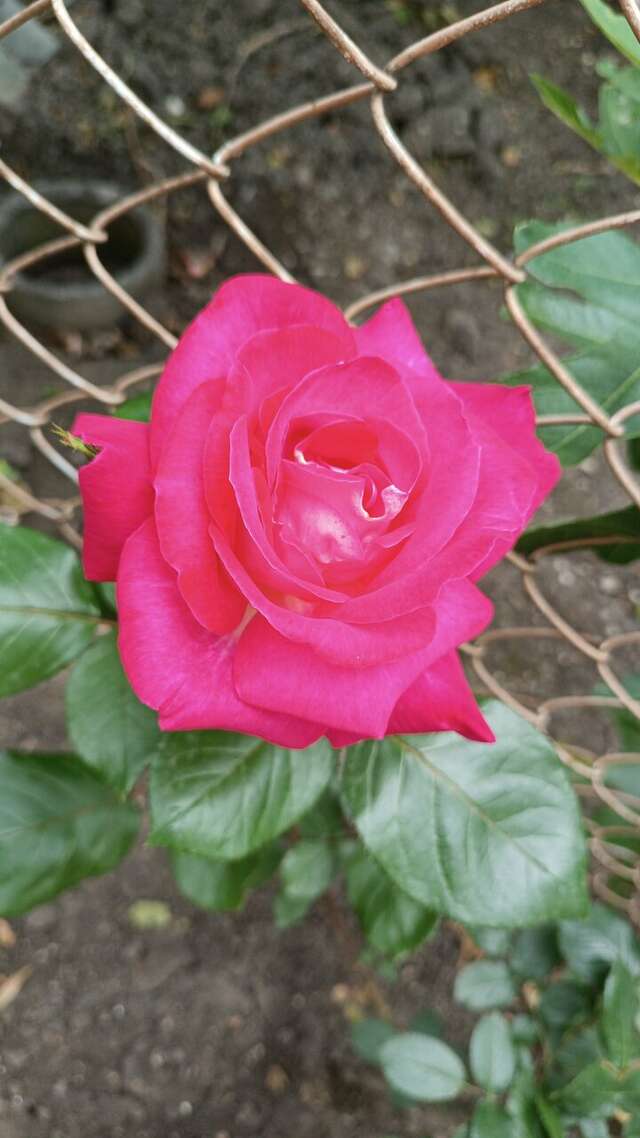 Гостиница Гостевой Дом Татьяна Геленджик-41