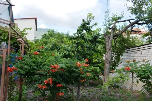 Гостиница Гостевой Дом Татьяна Геленджик-9